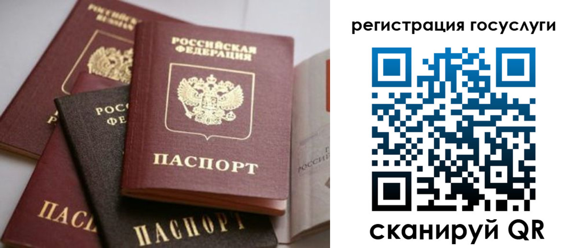пропишу в квартире в Калужской области